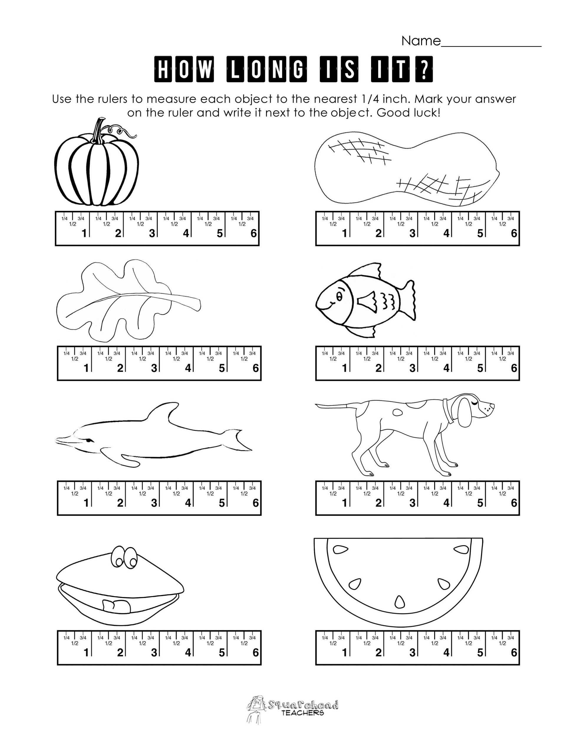 20 Reading Scales Worksheets Worksheet From Home 20 Reading Scales Worksheets Worksheet From Home