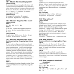Download File PDF Pearson Education Worksheets Answers Math Vcon