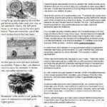 Printable 1st Grade Math Worksheets For Limestone Co Al Learning How