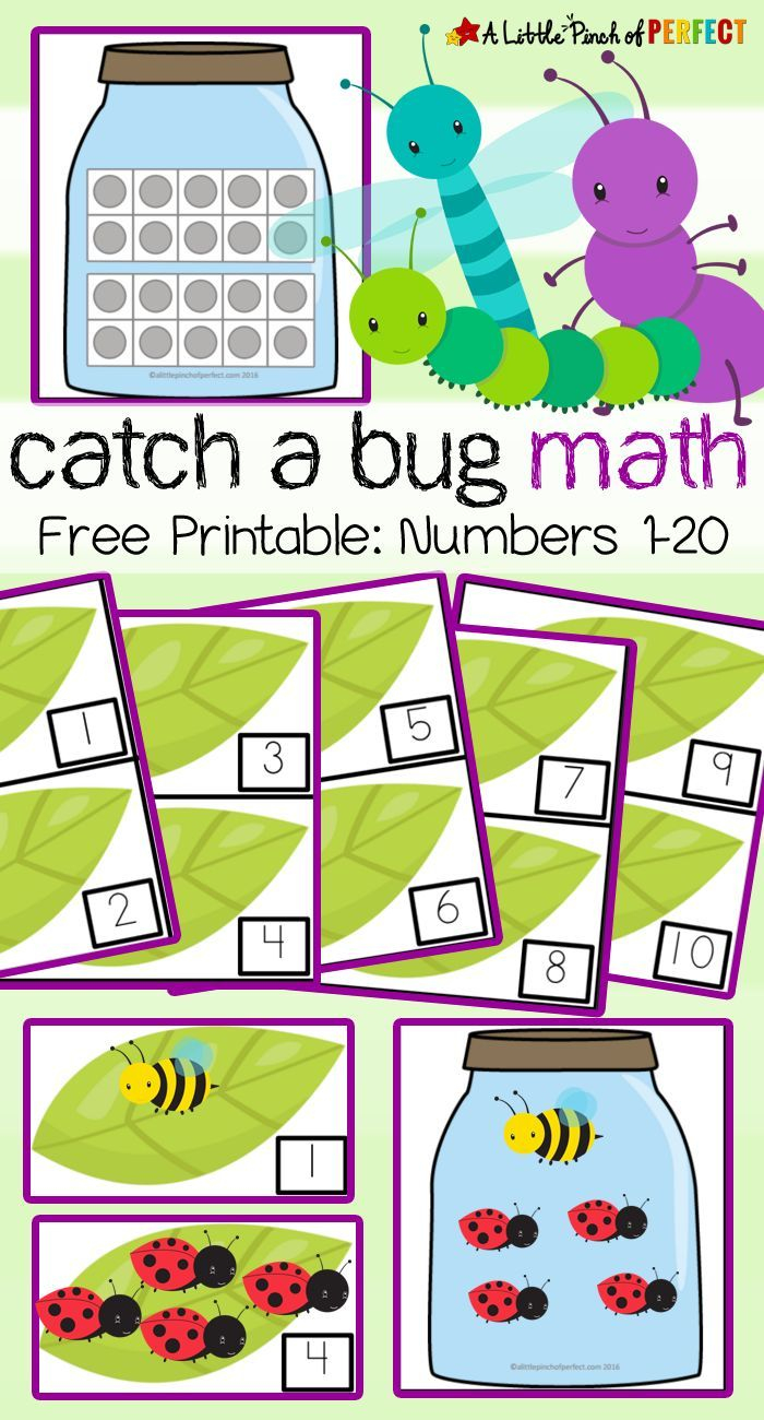 Bug Math Worksheets For Kindergarten William Hopper s Addition Worksheets