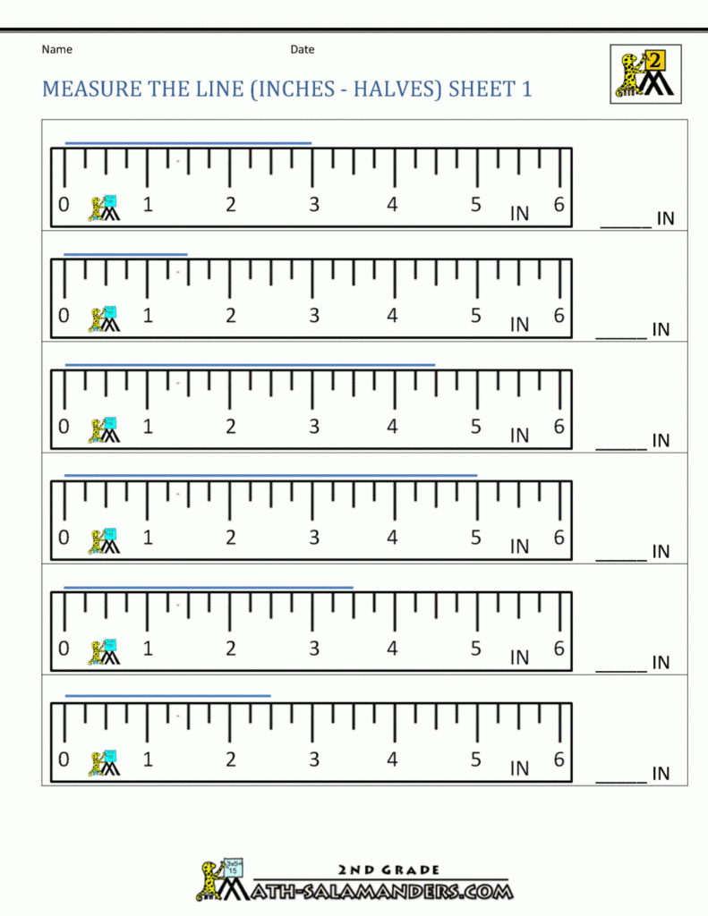 Measure The Mass Of These Fruits By Comparing Them To The Mass Of 