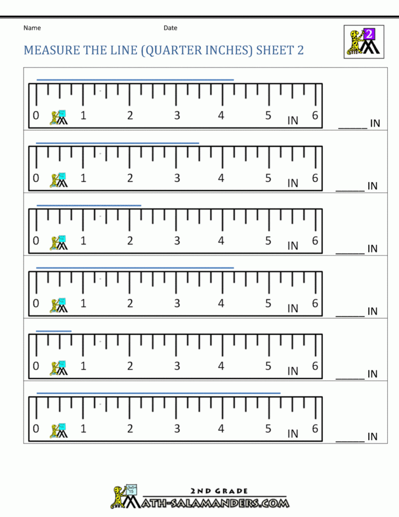 Worksheet Measuring In Inches Worksheet Grass Fedjp Worksheet Study Site