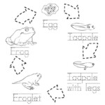 Pin By Reyna Hernandez On Life Cycles 1st Grade Science Life Cycles